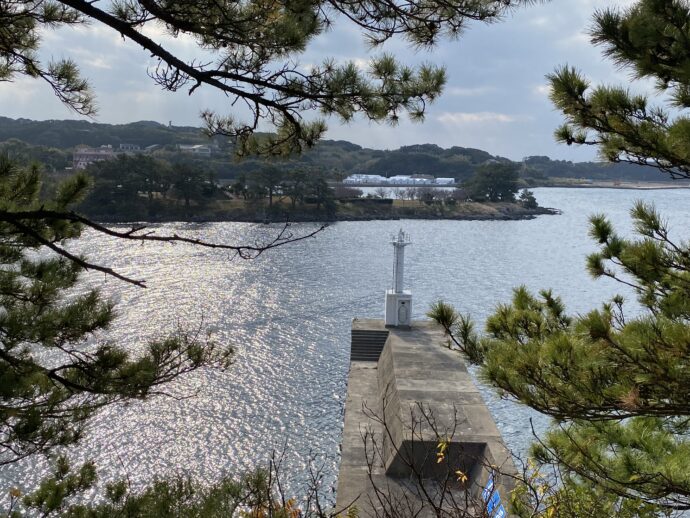 春一番の塔から見える郷ノ浦港