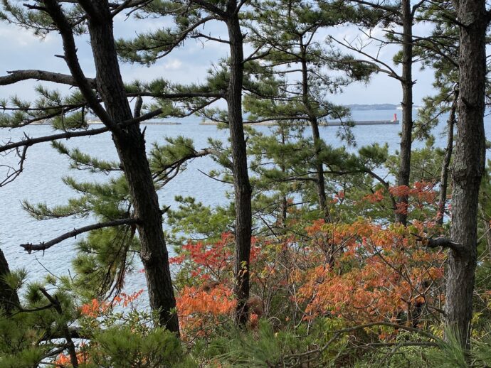 春一番の塔から見える郷ノ浦港