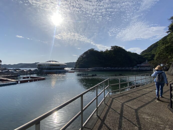 下田海中水族館と遊歩道