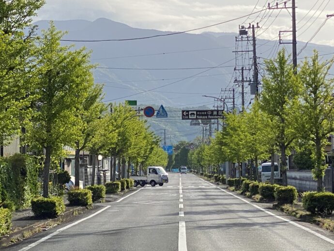 松崎の道路