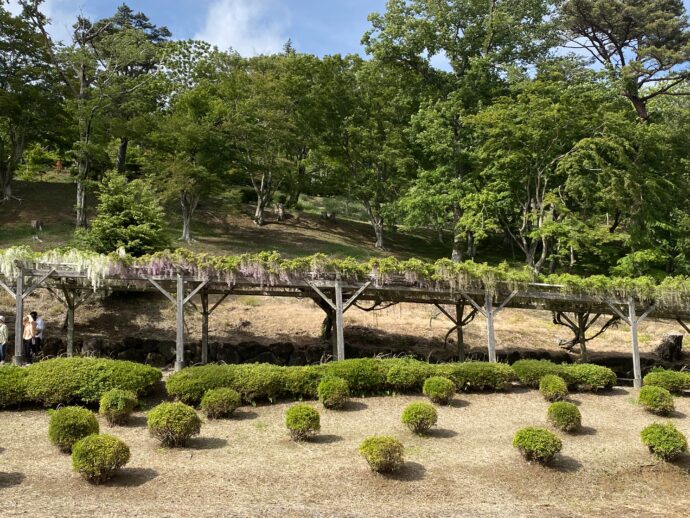 日本庭園