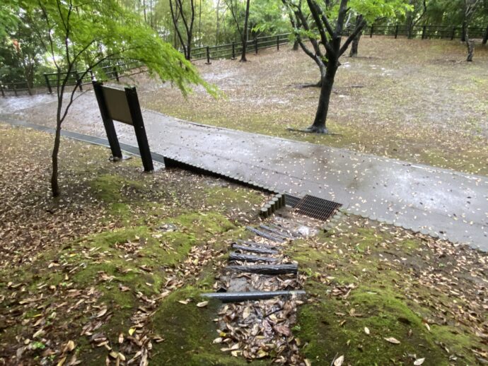 韮山城跡の階段