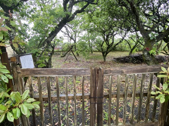 江川家住宅の塀