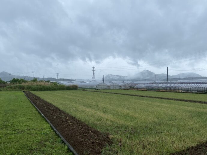 韮山反射炉への道