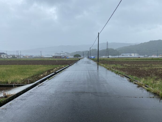 田んぼのなかの一本道