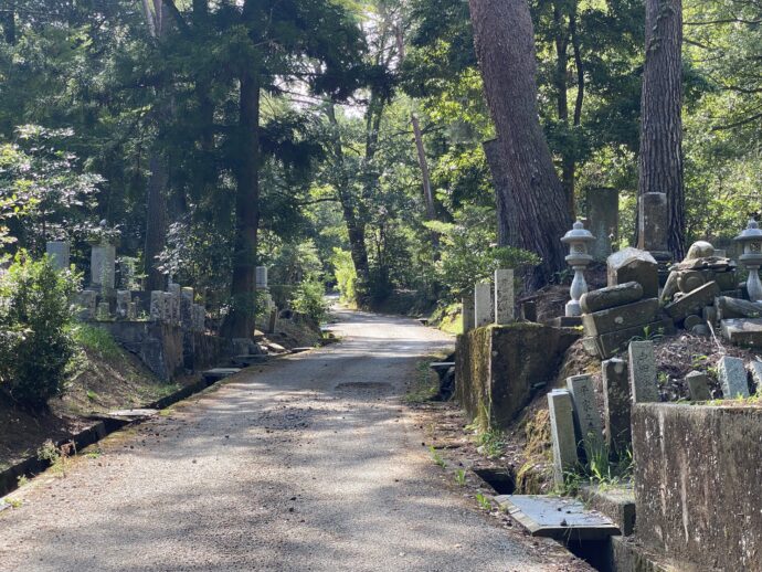 野田山墓地入口すぐの道路