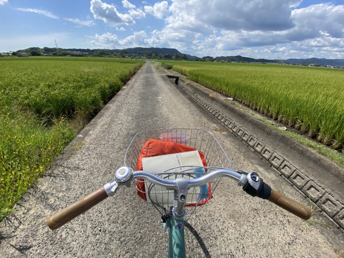 田んぼの道を走る自転車