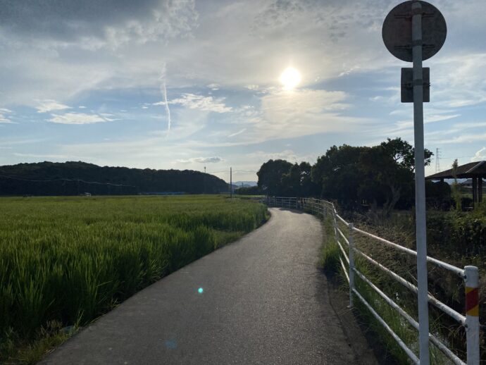 田んぼの中の道と太陽