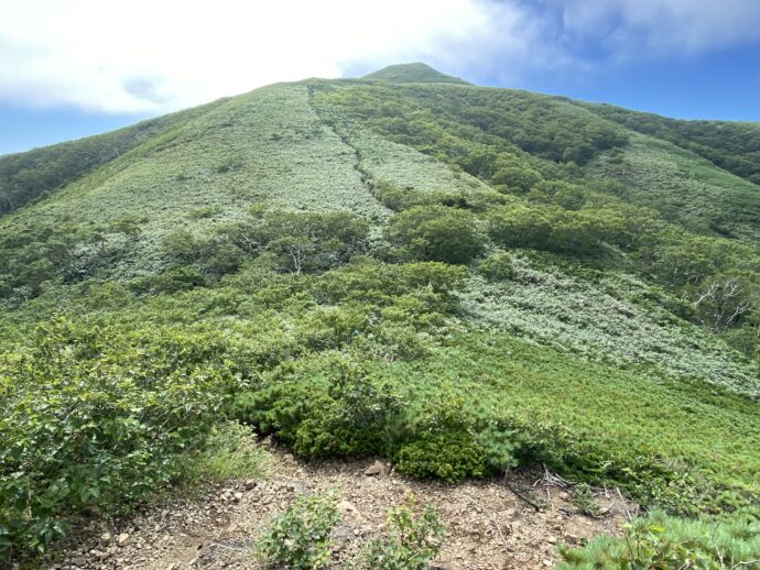 礼文岳コースの登山道