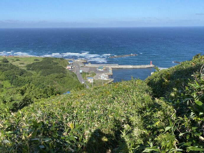 海が見える礼文岳コースの登山道