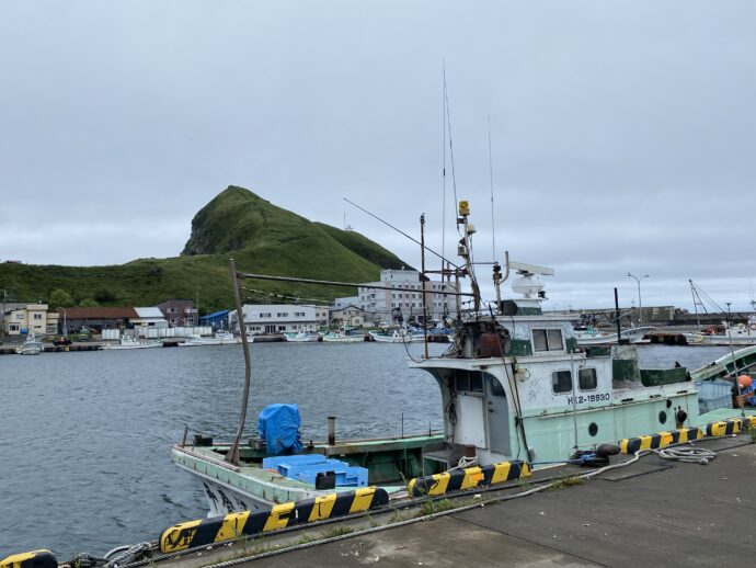 鴛泊港に停泊する漁船