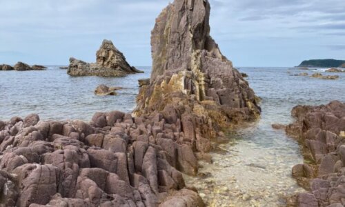 城原海岸の岩礁