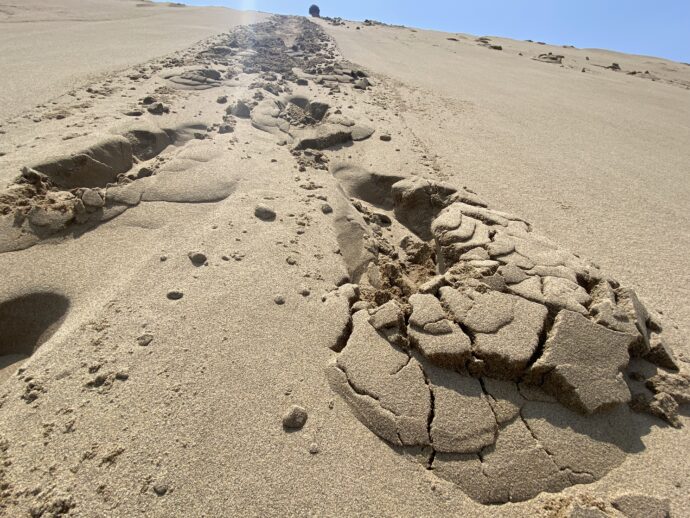 海岸沿いへ降りた砂の跡