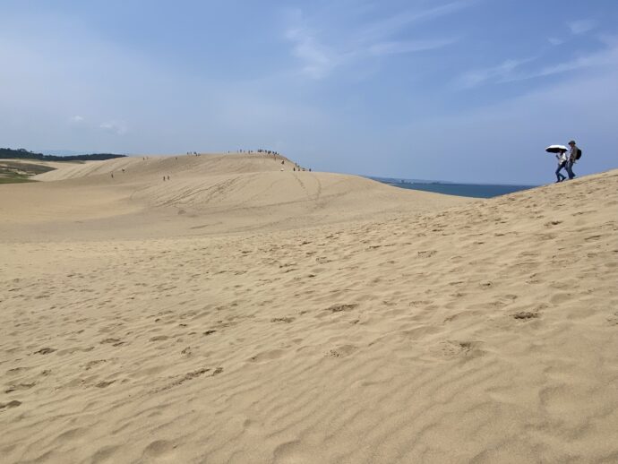 広大な鳥取砂丘