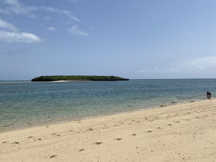 ヤジリ浜から見えるアフ岩