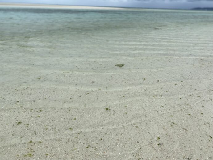 コンドイビーチの透明な海