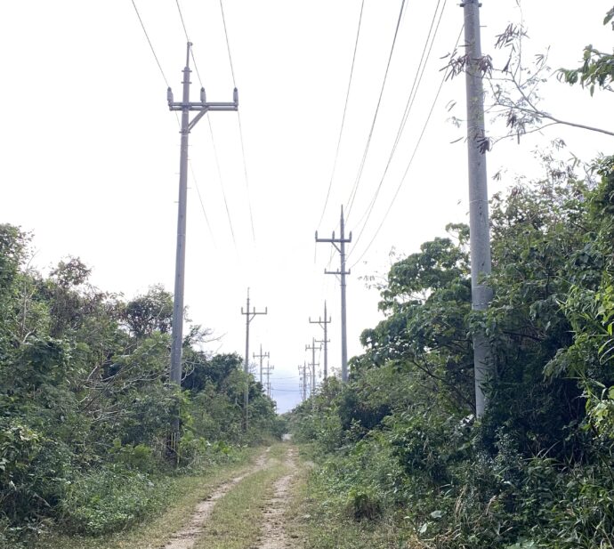竹富島の道路