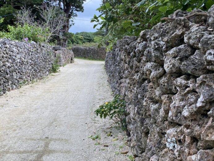 石垣の道