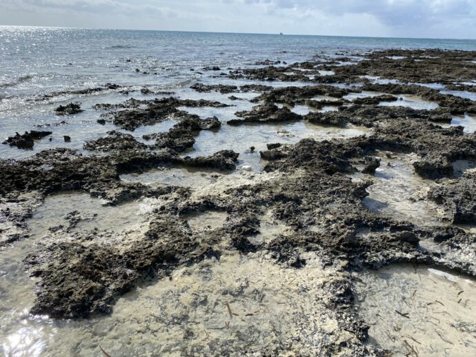 カンナージ浜のゴツゴツした岩礁
