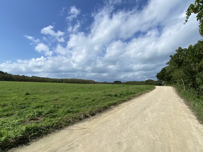 竹富島の畑の道