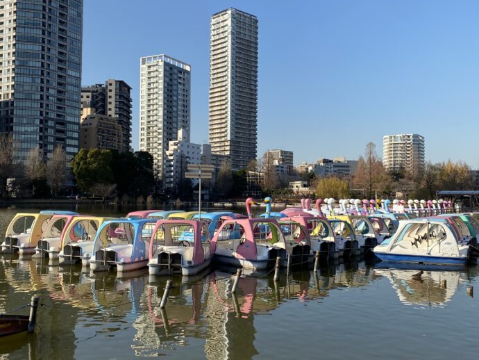 上野公園ボート池のスワンボート