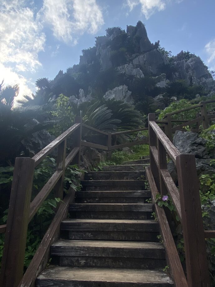 大石林山の階段遊歩道