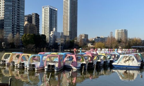上野公園の池のあひるボート