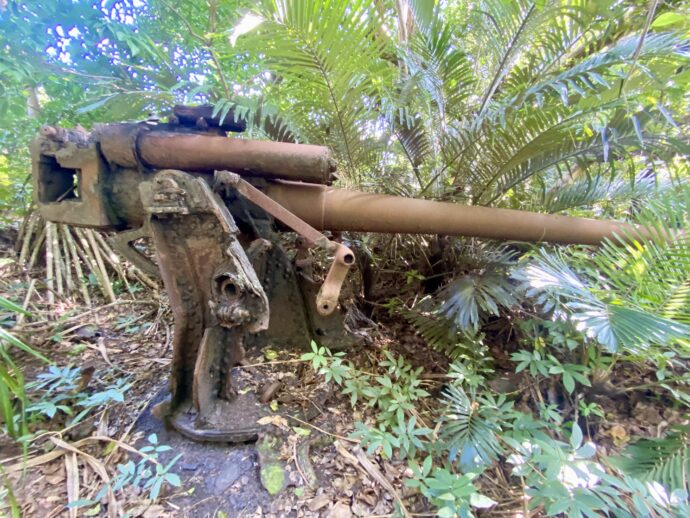 草木に埋もれる十年式十二糎高角砲3門