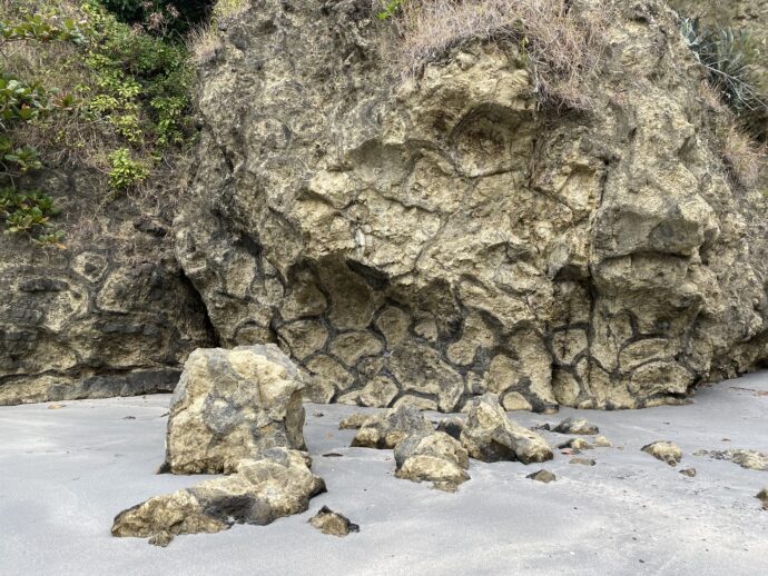 小港海岸の枕状溶岩