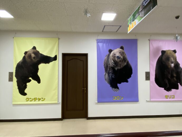 のぼりべつクマ牧場の熊ポスター