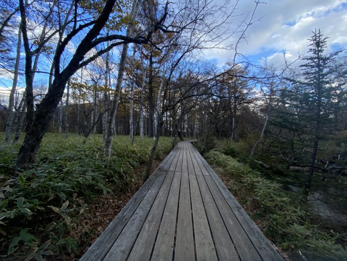 戦場ヶ原の遊歩道