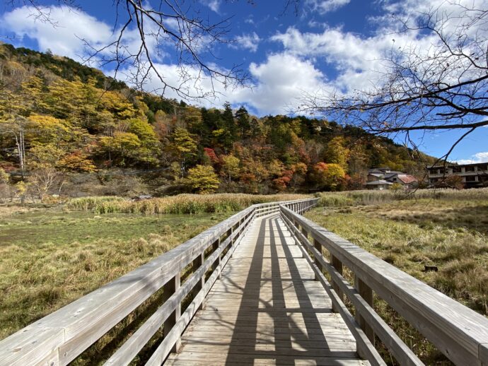 湯ノ平湿原遊歩道