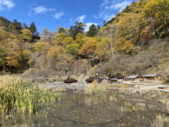 湯ノ湖湿原