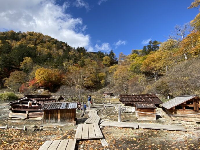 湯ノ平湿原遊歩道