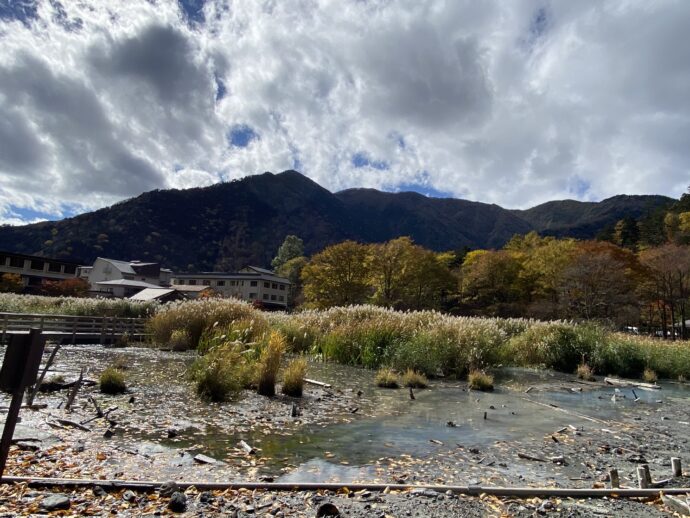 湯ノ湖湿原