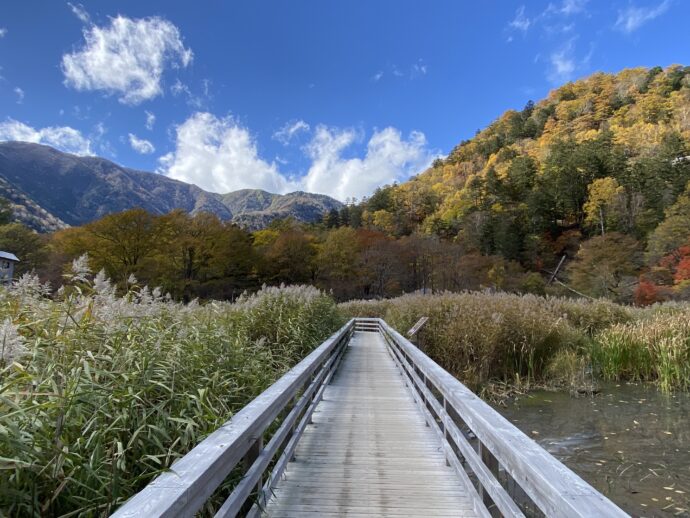 湯ノ平湿原遊歩道