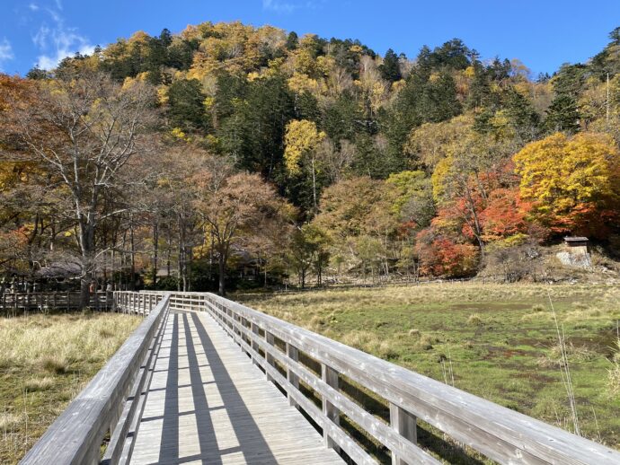 湯ノ平湿原遊歩道