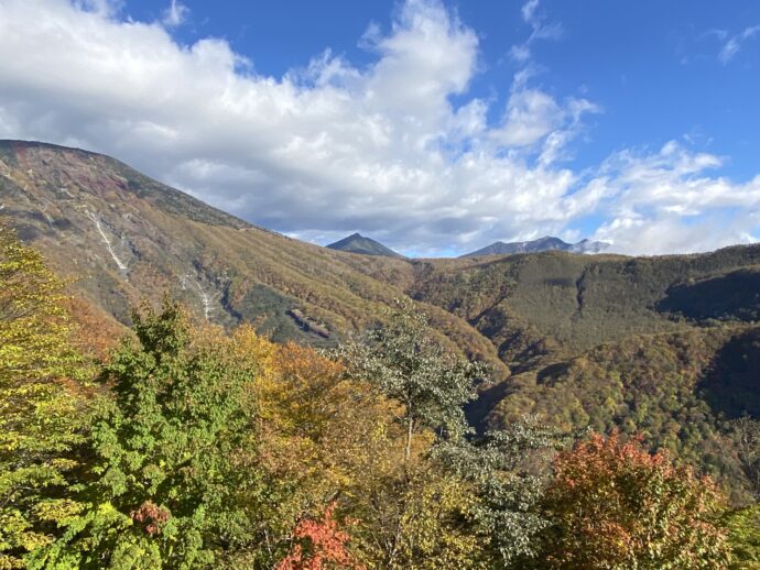 明智平の紅葉