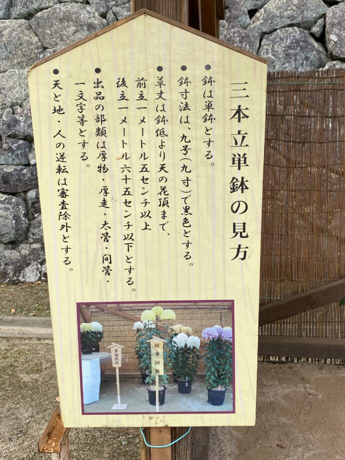 菊花展の説明板