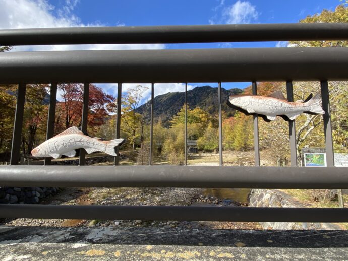 湯ノ湖湖畔遊歩道