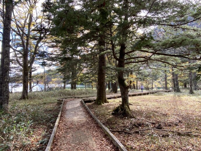 湯ノ湖湖畔遊歩道