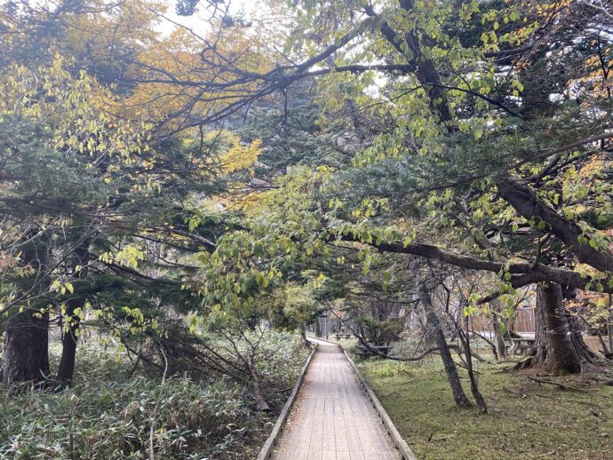 湯ノ湖湖畔遊歩道