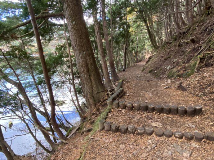 湯ノ湖湖畔遊歩道