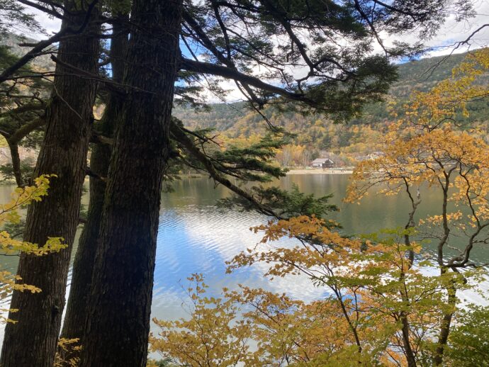 湯ノ湖湖畔遊歩道から見える湯ノ湖