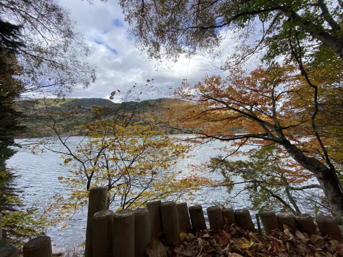 樹木越しの湯ノ湖