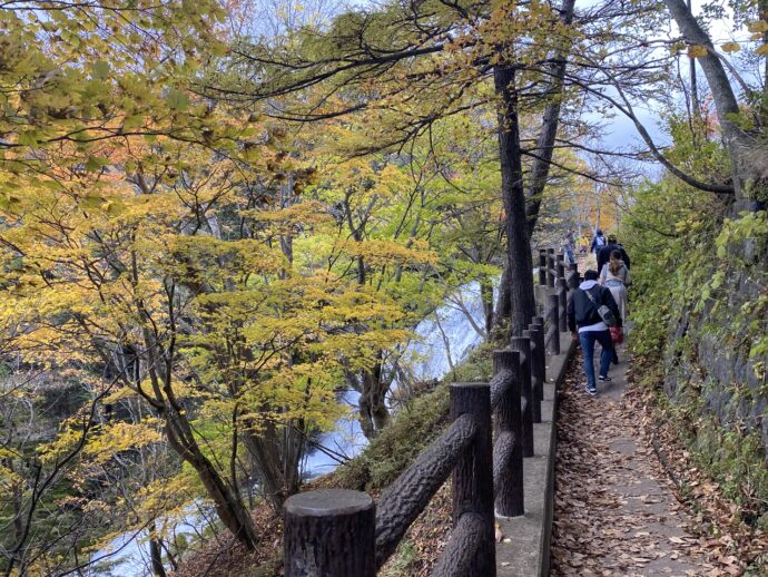 湯滝沿いの遊歩道