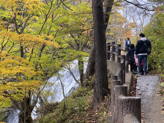 湯滝沿いの遊歩道