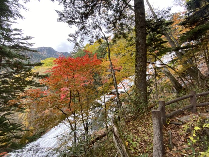 紅葉の奥に見える湯滝