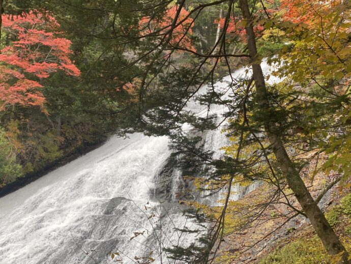 紅葉の奥に見える湯滝