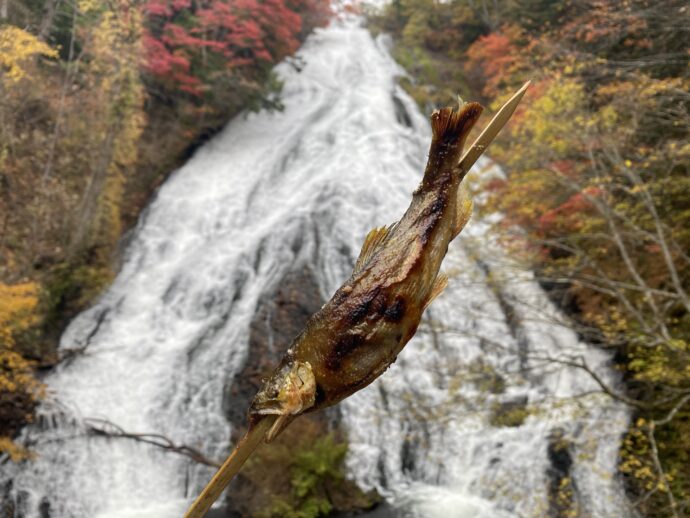 鮎の塩焼きと湯滝